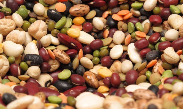 business beans