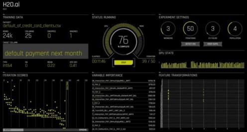 DriverlessAI